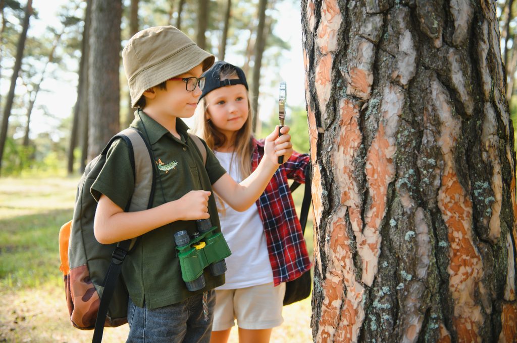 Boy and girl with backpacks looking examining tree bark through magnifying glass while exploring forest nature and environment on sunny day.