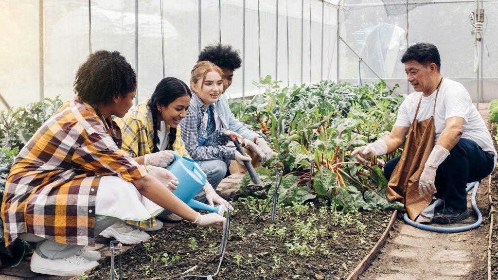 A garden specialist is teaching a group of students in a vegetable plot.